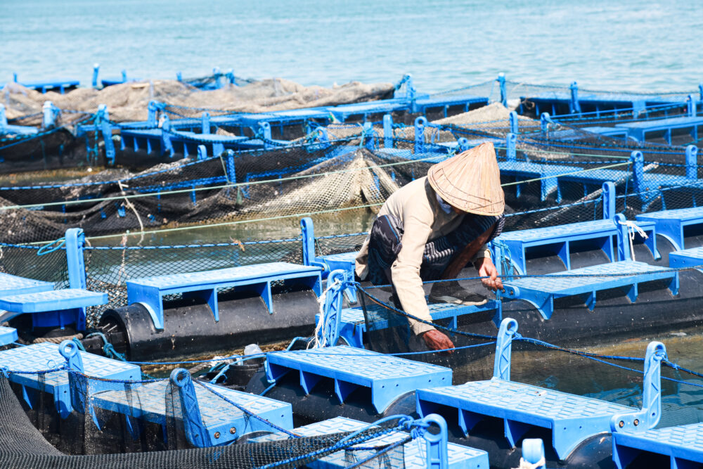 nuôi trồng thủy sản trên biển tại Việt Nam